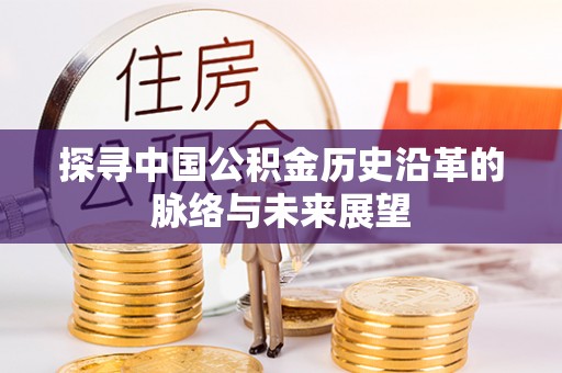 三地门探寻中国公积金历史沿革的脉络与未来展望