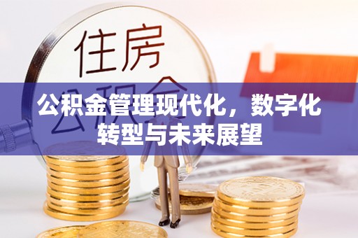 三地门公积金管理现代化，数字化转型与未来展望