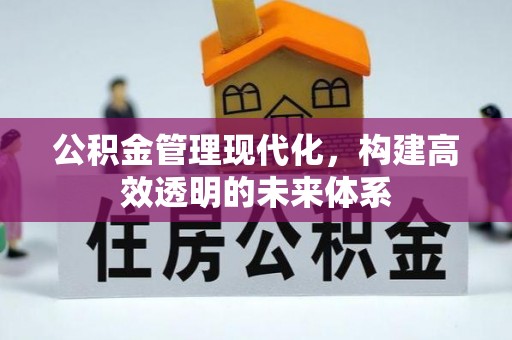 三地门公积金管理现代化，构建高效透明的未来体系