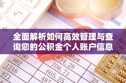 三地门全面解析如何高效管理与查询您的公积金个人账户信息