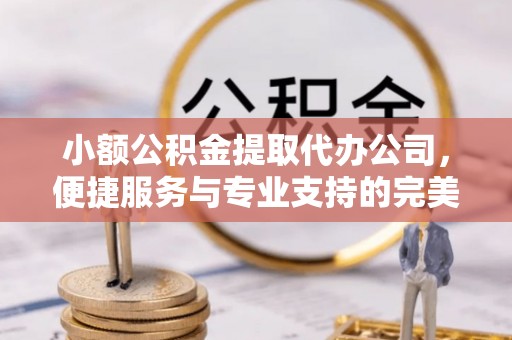 三地门小额公积金提取代办公司，便捷服务与专业支持的完美结合