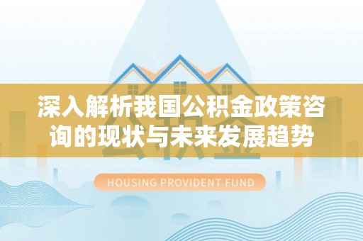 三地门深入解析我国公积金政策咨询的现状与未来发展趋势