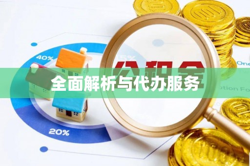 三地门全面解析与代办服务