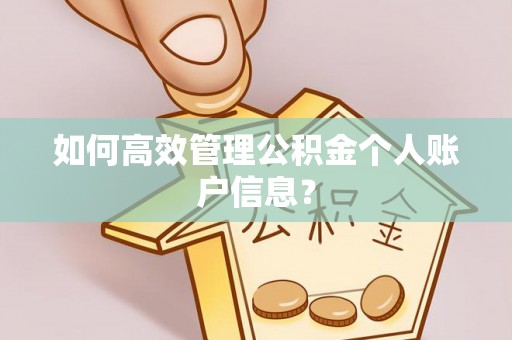 三地门如何高效管理公积金个人账户信息？