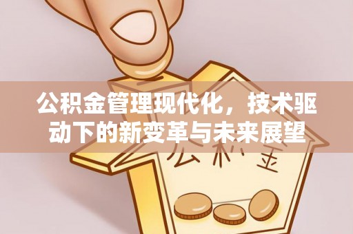 三地门公积金管理现代化，技术驱动下的新变革与未来展望
