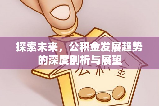 三地门探索未来，公积金发展趋势的深度剖析与展望
