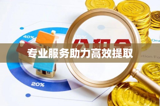 三地门专业服务助力高效提取